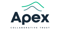 apex apex